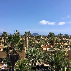 Oasis Papagayo , Corralejo España