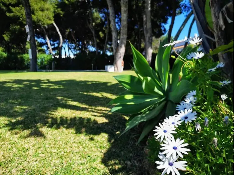 ¡Nuevo! Zona Tranquila Cerca De La Playa De La Carihuela Apartment Torremolinos 0*,  Spain